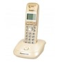Panasonic KX-TG2511PDJ - telefon bezprzewodowy DECT